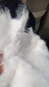 长期出售脱脂棉下脚料，卫材首选！