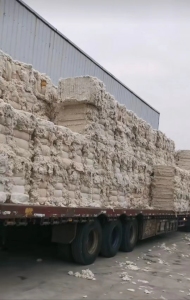 长期出售各种车肚、落棉、破籽、含涤，含粘！