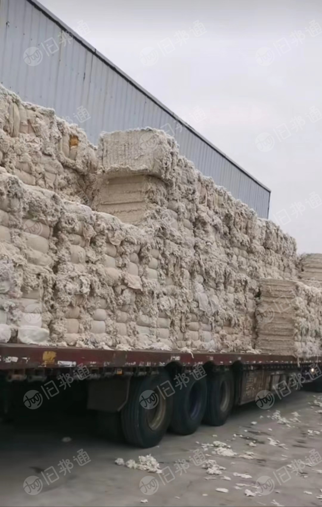 长期出售各种车肚、落棉、破籽、含涤,含粘!