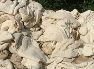 出售学校下来的学生被9.6米一车！