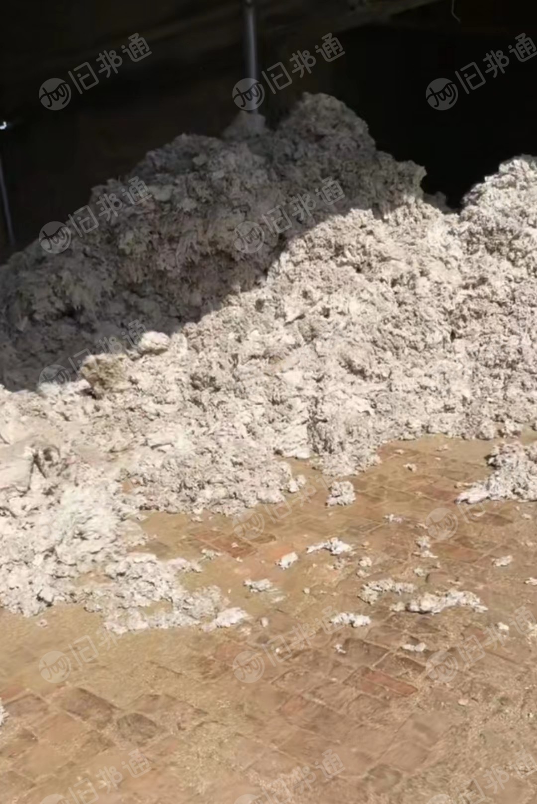 长期大量收购破籽车肚!