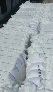 常年出售化纤开花棉、被子棉、漂白开花棉