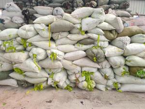 长期大量出售涤纶颜色料，需要的联系！