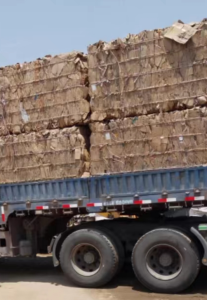 长期出售黄纸、花纸压块，一个月200多吨