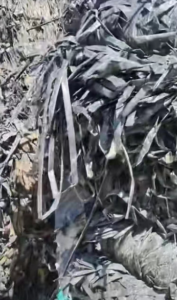 常年大量收购废旧滴灌带