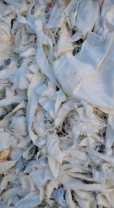 长期出售85棉开花褪色料，开花原料！