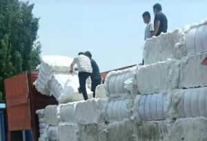 长期供应棉粘涤混合开松花