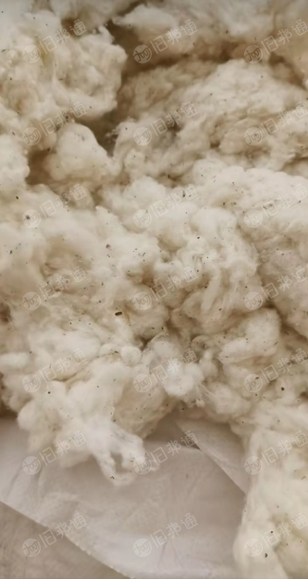 出售纯棉高配车肚30吨