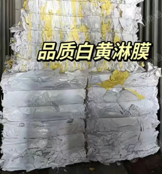 长期收购黄白淋膜纸废料,要干净不掺杂其他纸