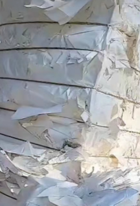 出售CCK涂布纸废料，压块好的，干净无杂