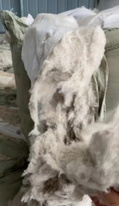 河南许昌长期出售气纺车肚