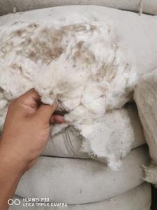 长期供应纯棉车肚，涤棉车肚