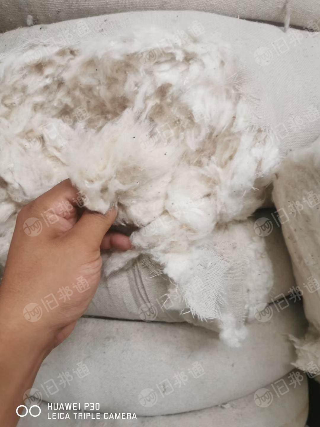 长期供应纯棉车肚,涤棉车肚