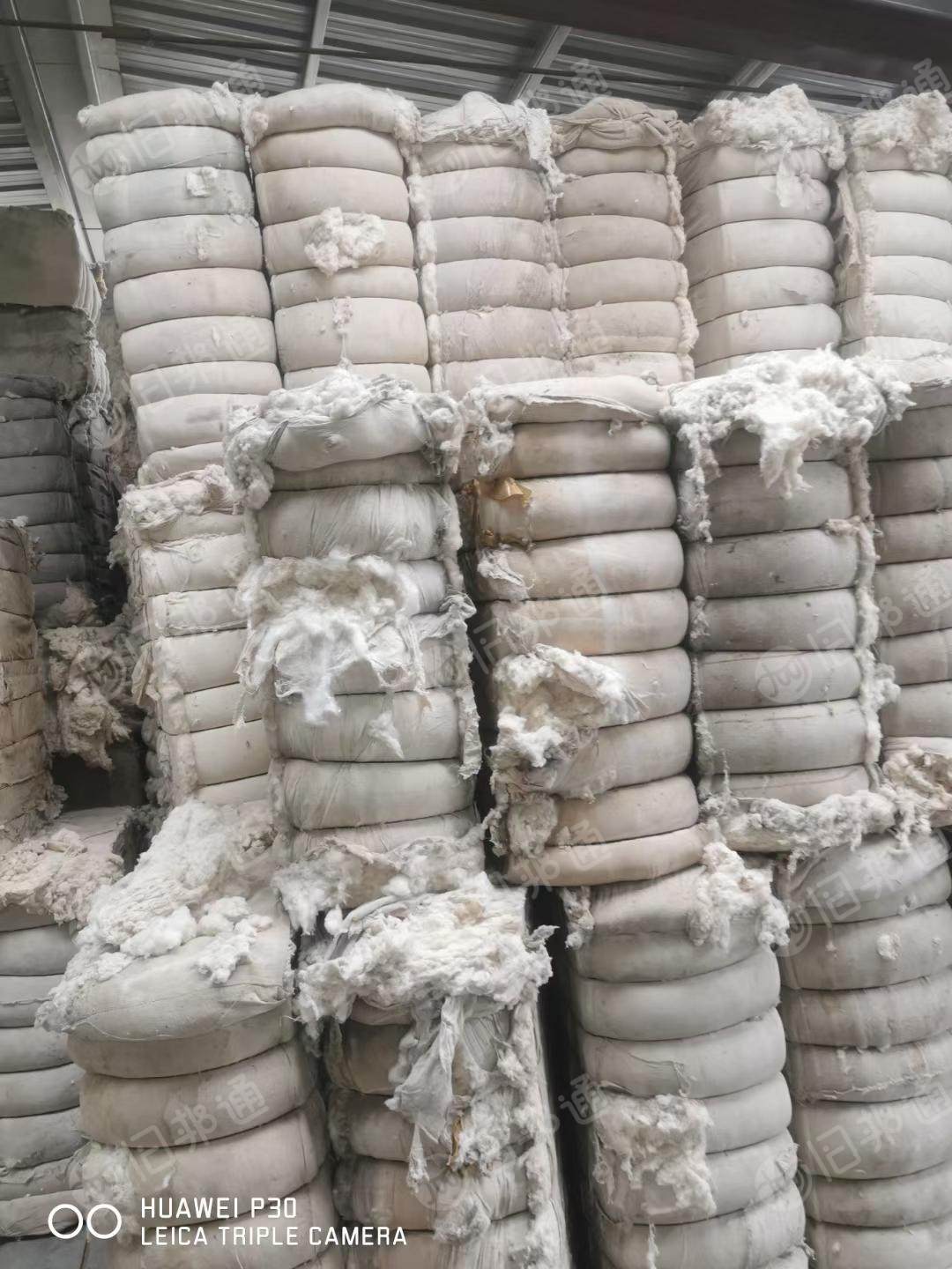 长期供应纯棉车肚,涤棉车肚