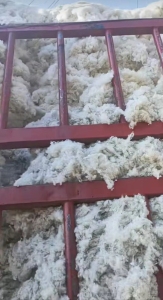 常年出售纺织厂车肚，盖板，落棉，粗纱头，破籽等