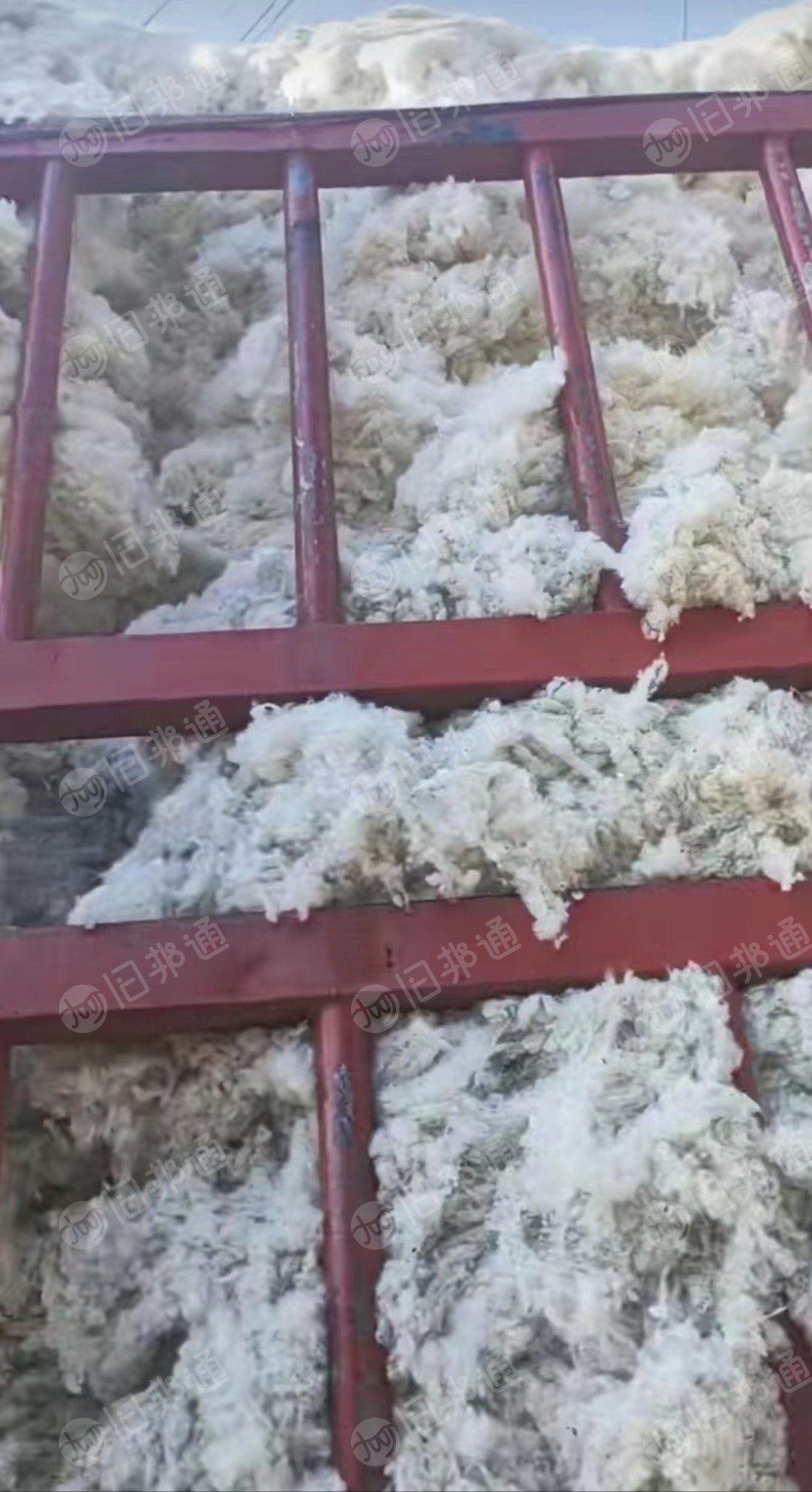 常年出售纺织厂车肚,盖板,落棉,粗纱头,破籽等