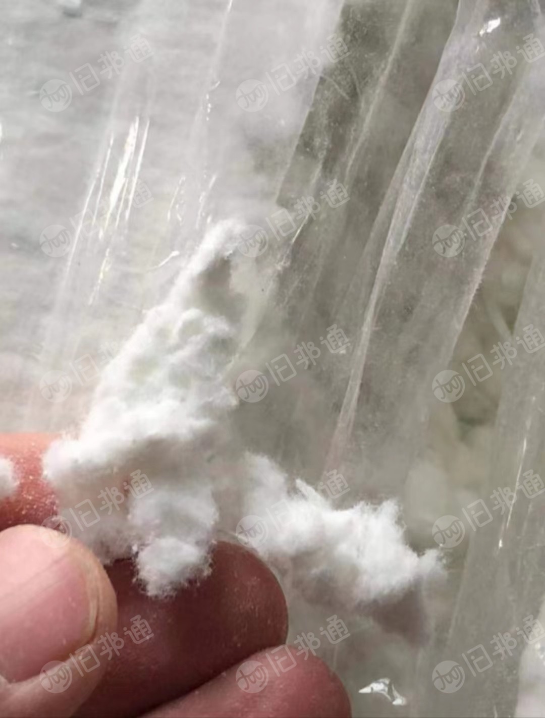 长期供应麻灰棉,各种颜色的彩棉,以及本白好车肚,破籽,落棉,好气流纺下脚等