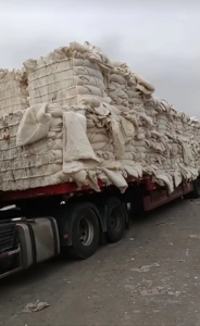 长期收购各种棉花，学生被，丝棉，娃娃棉，古棉