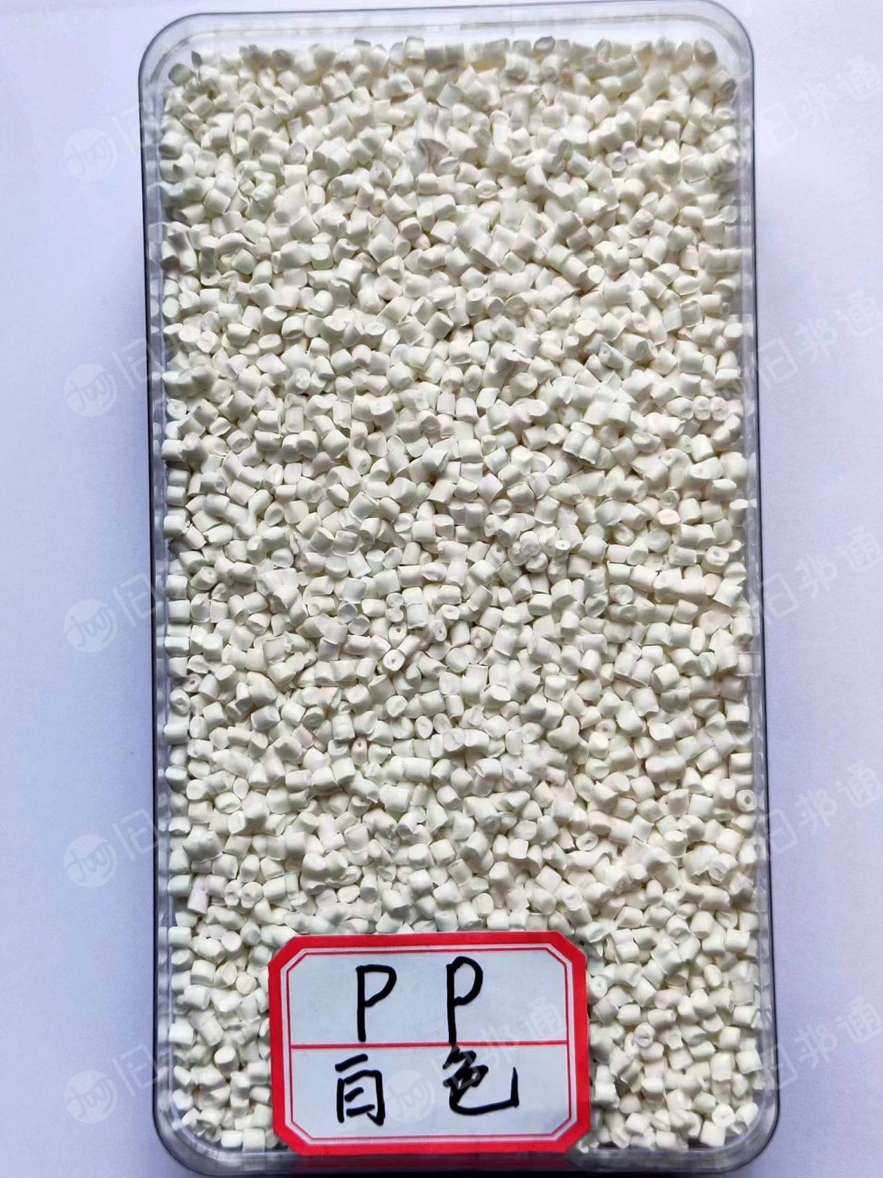 出售白色PP颗粒，均聚透明PP等再生料，质量稳定