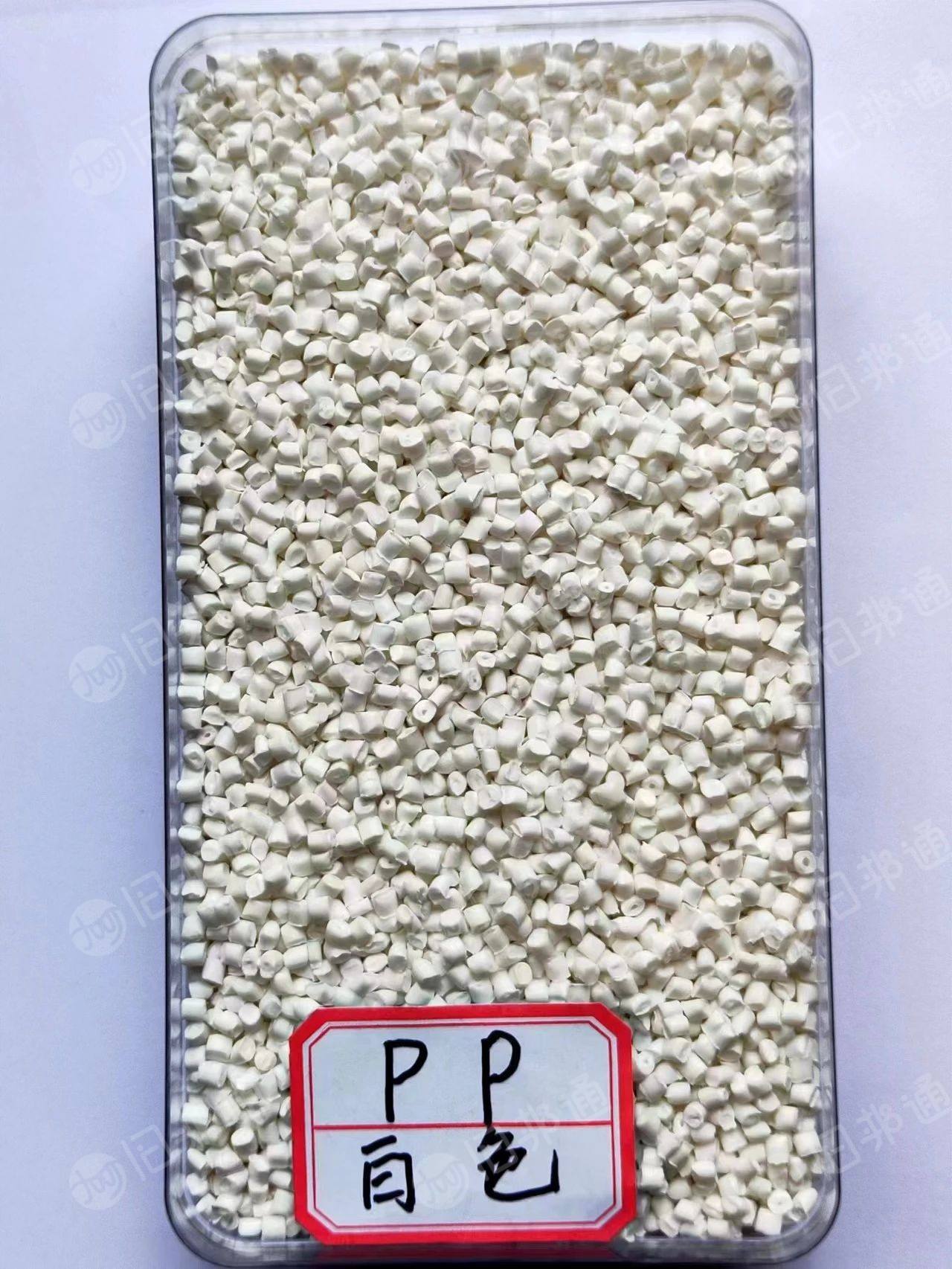 出售白色PP颗粒,均聚透明PP等再生料,质量稳定