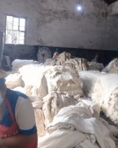 本厂长期回收古棉，量大从优！