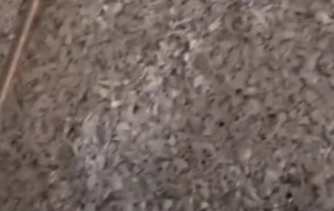 常年出售塑钢破碎料，硬质PVC破碎料