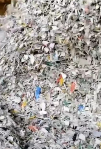 常年出售PP打包带破碎料，PP破碎料