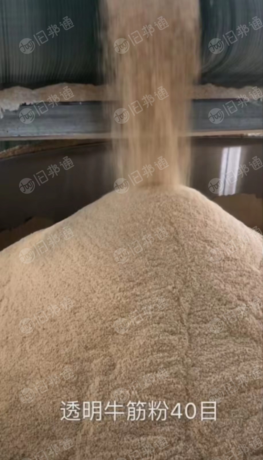 长期出售透明牛津粉40-120目,白色鞋底胶粉80目,白色鞋边颗粒