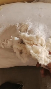 大量收购各种涤纶造粒拉丝料，涤纶废布，氨纶废布