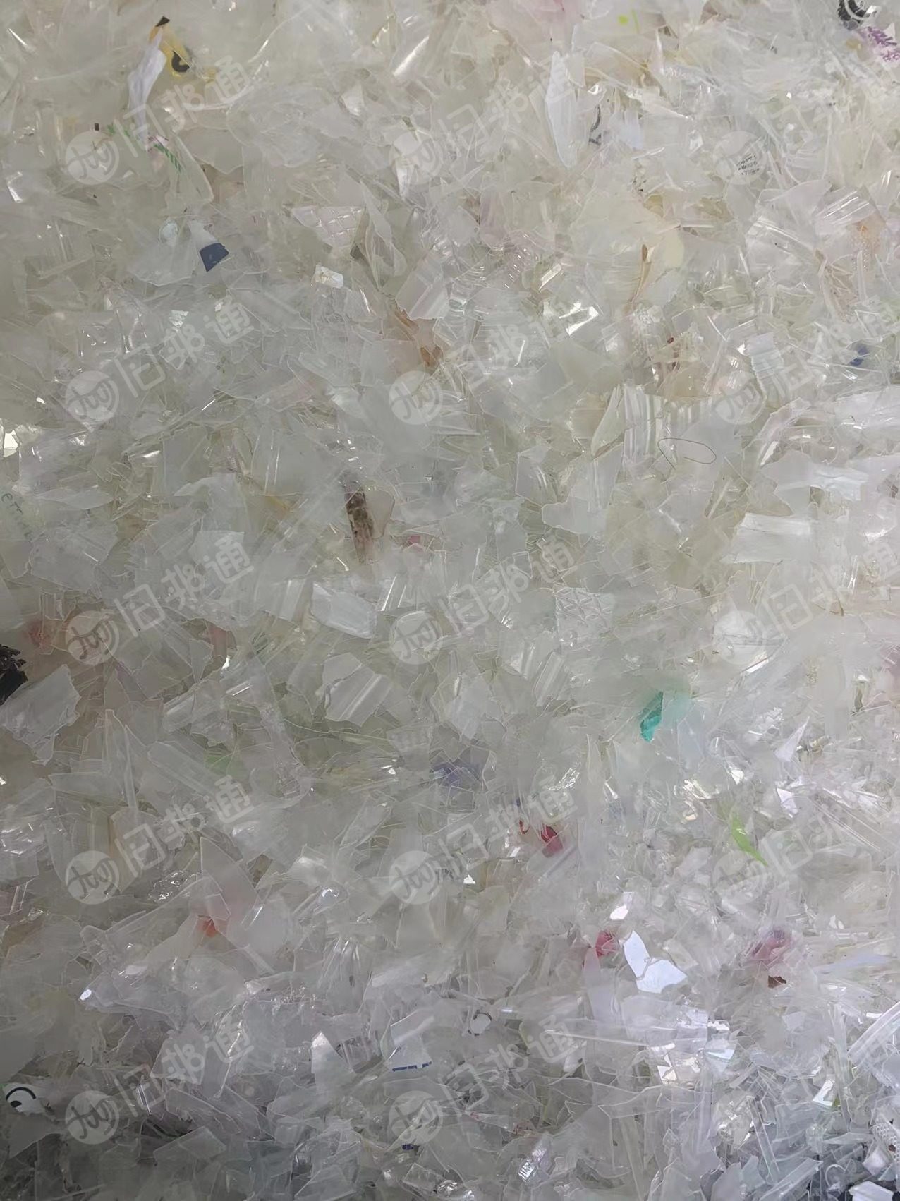 高价收购PP餐盒破碎料