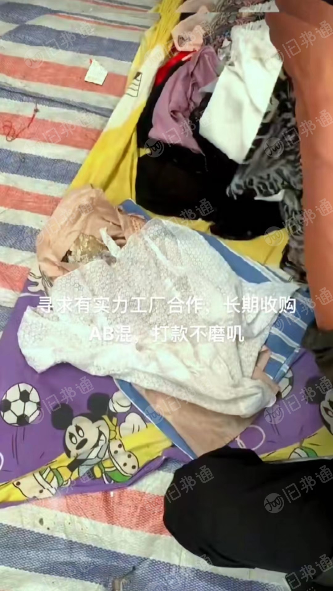 常年收购女棉上衣,女T恤等等,夏衣冬衣,达A标准!