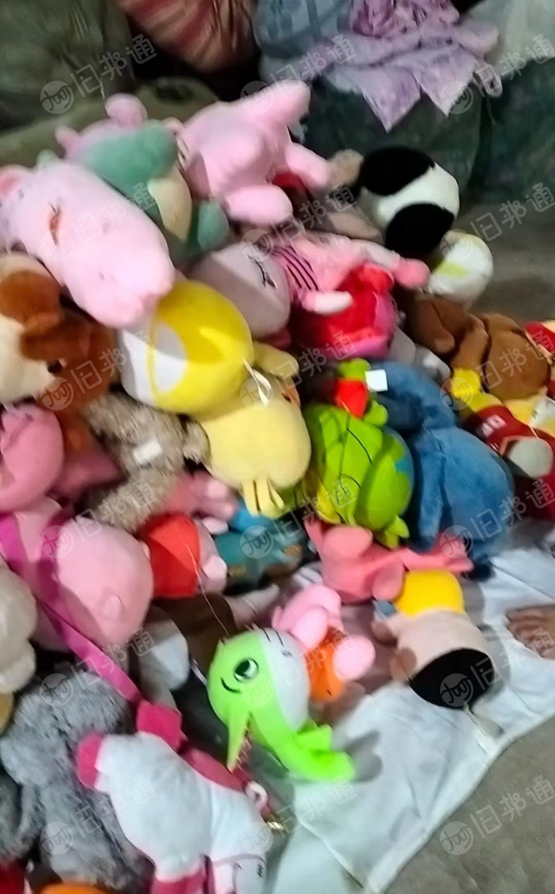 出售一批精品毛绒玩具,布娃娃 需要的联系!