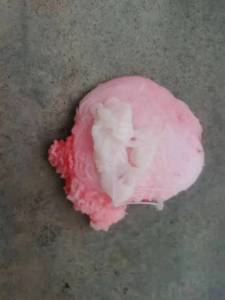 出售机头料，PP，PE为主