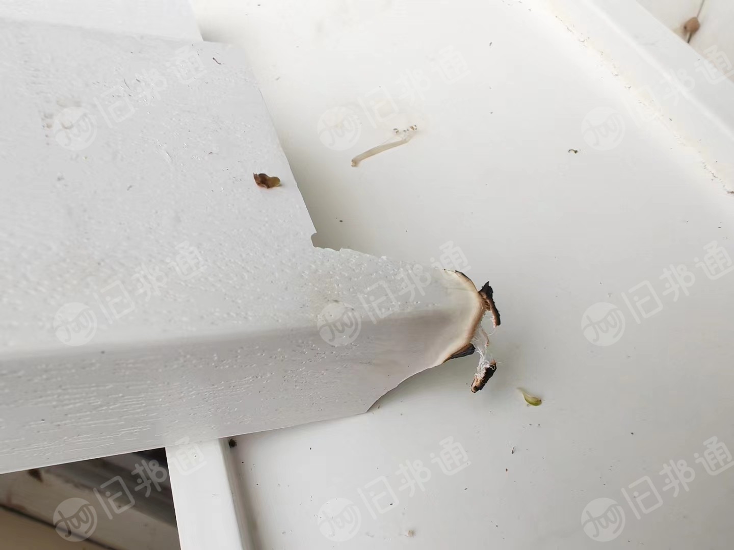 出售白色PVC发泡废料,月供几十吨