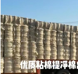 长期大量出售优质纯棉提净棉，粘棉，涤棉车肚，粘棉车肚