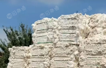 长期大量出售优质纯棉提净棉,粘棉,涤棉车肚,粘棉车肚