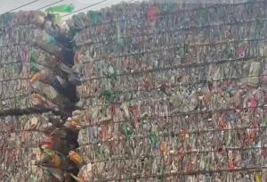 大量收购纯三色瓶砖，饮料瓶散货