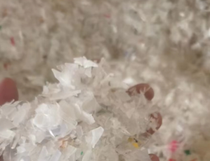 长期出售透明丙破碎料，荔枝框破碎料，饭盒破碎料