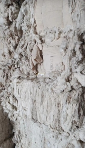 出售全棉扫地花，需要的联系!