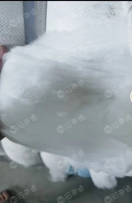 出售各种高低档纯白开花料,适用于电热毡鞋垫毡面料,各种土工布 针刺毡等
