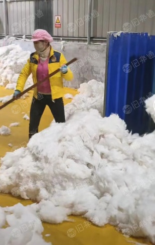 絮棉厂出售开松好的被子棉,无线头,无水分,中高低档都有
