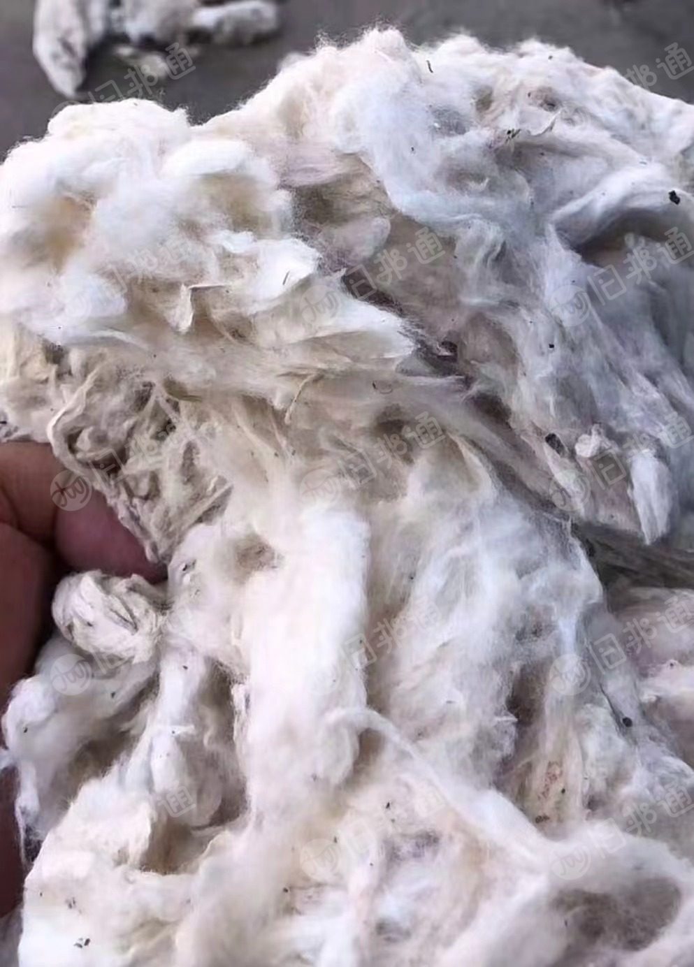 出售纯新疆棉新棉火烧棉，无板块、无潮湿、质量保证