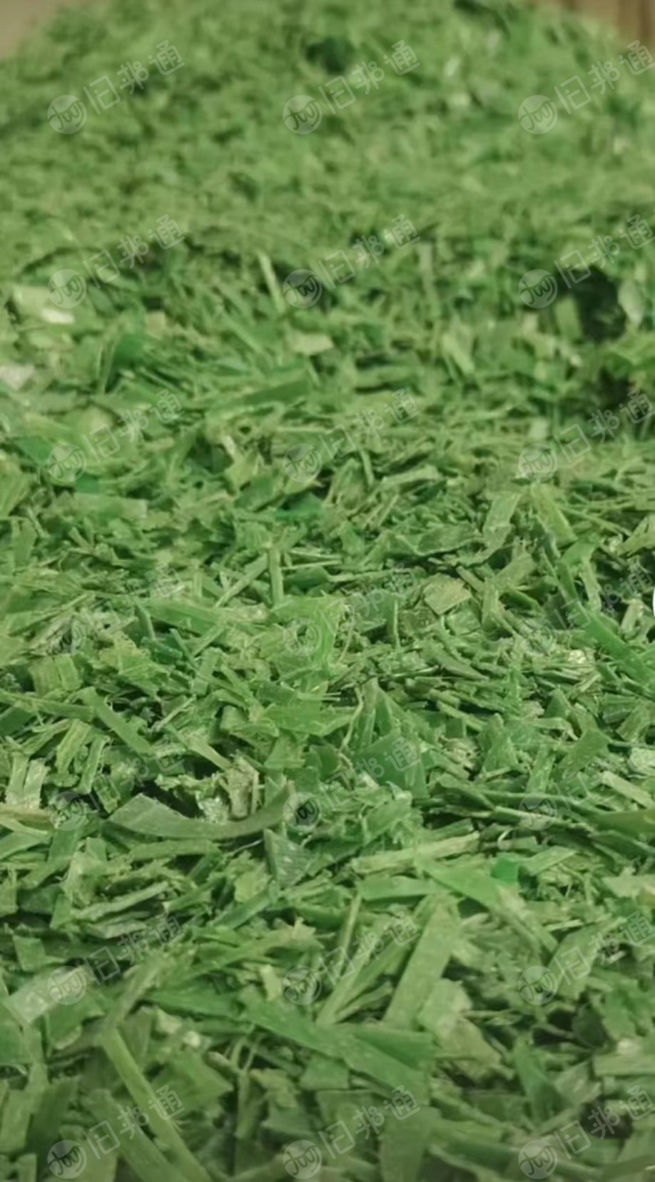 本厂出售PET打包带破碎料,干粉