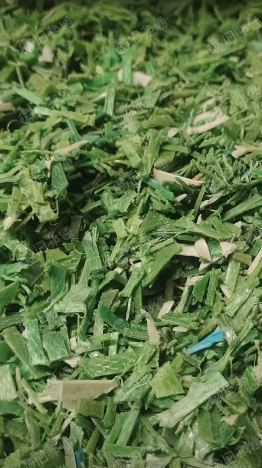 本厂出售PET打包带破碎料,干粉