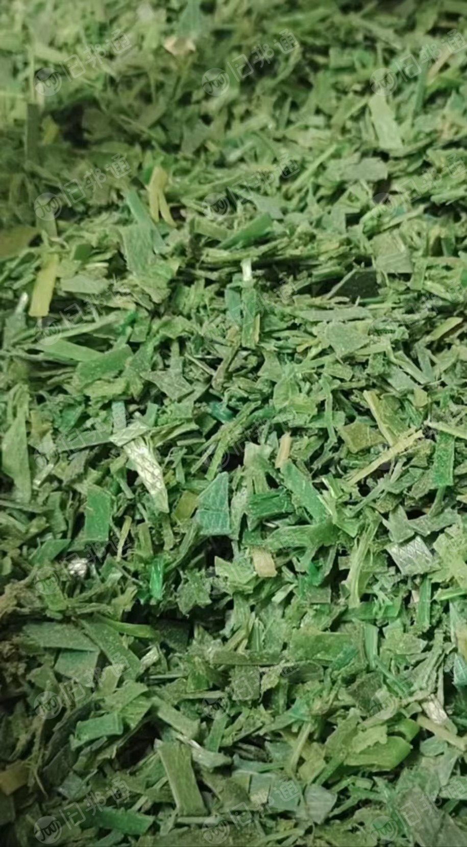 本厂出售PET打包带破碎料,干粉