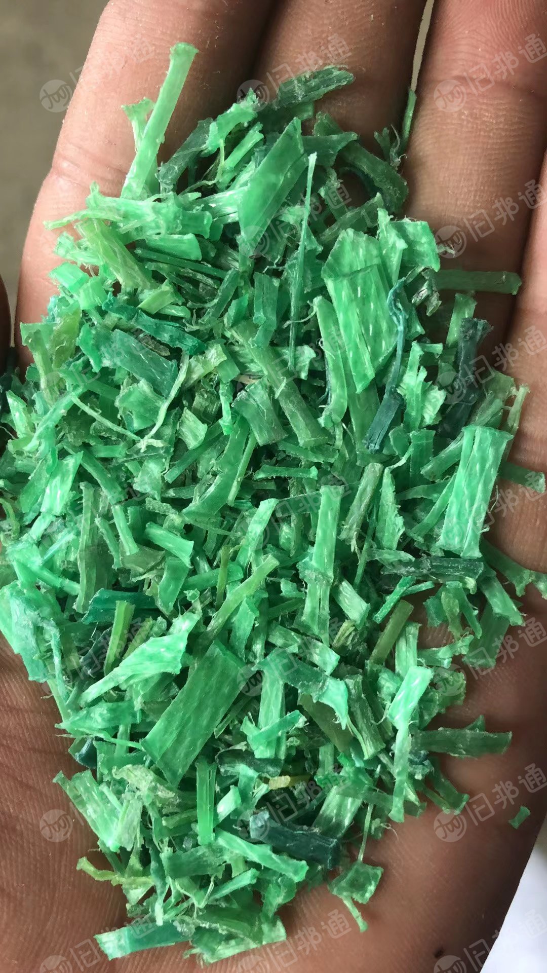 大量出售PET打包带破碎料,干粉水粉都有