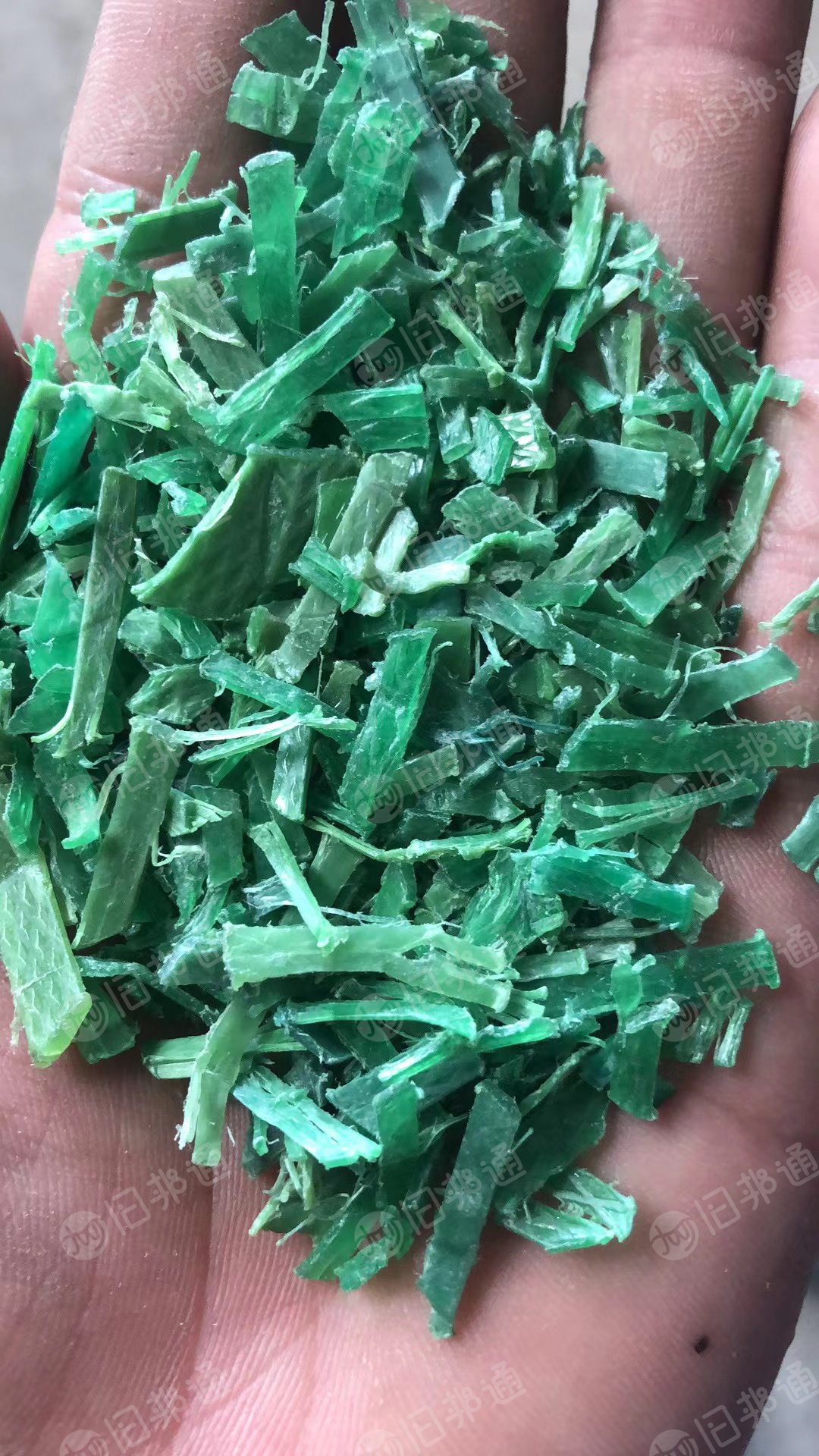 大量出售PET打包带破碎料,干粉水粉都有