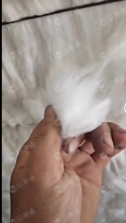 出售化纤粘胶棉,天丝粘胶棉,纺纱絮棉原料,可纺6-32支纱