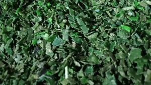 出售聚酯打包带破碎料，干粉