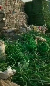 大量出售PET打包带毛料